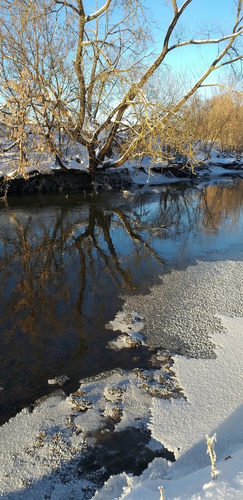 Photograph by Inna Kabanovich