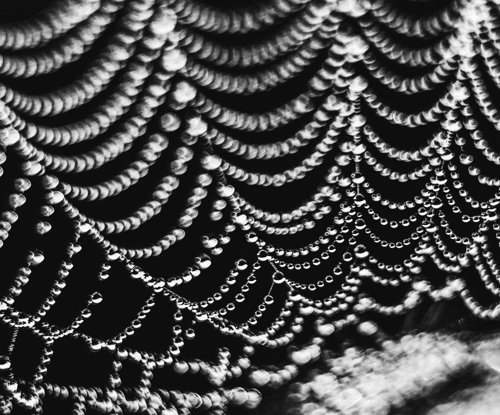 Photograph by Ольга Мажарук