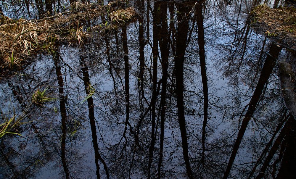 Photograph by Слава Саломатин