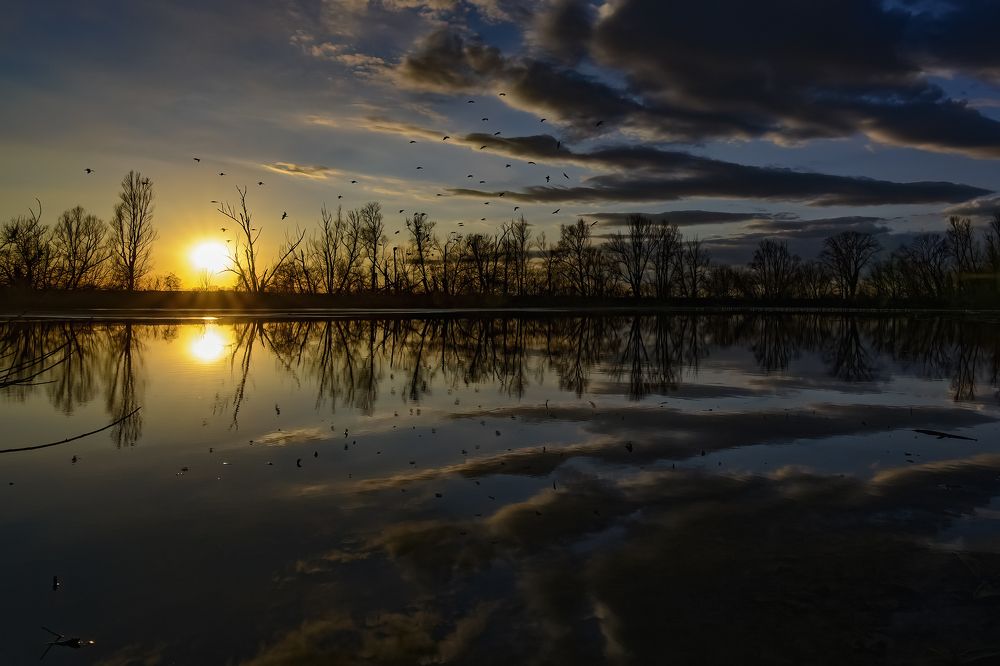 Photograph by Dino Sirica