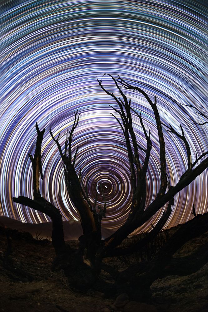 Photograph by Сергей Косов