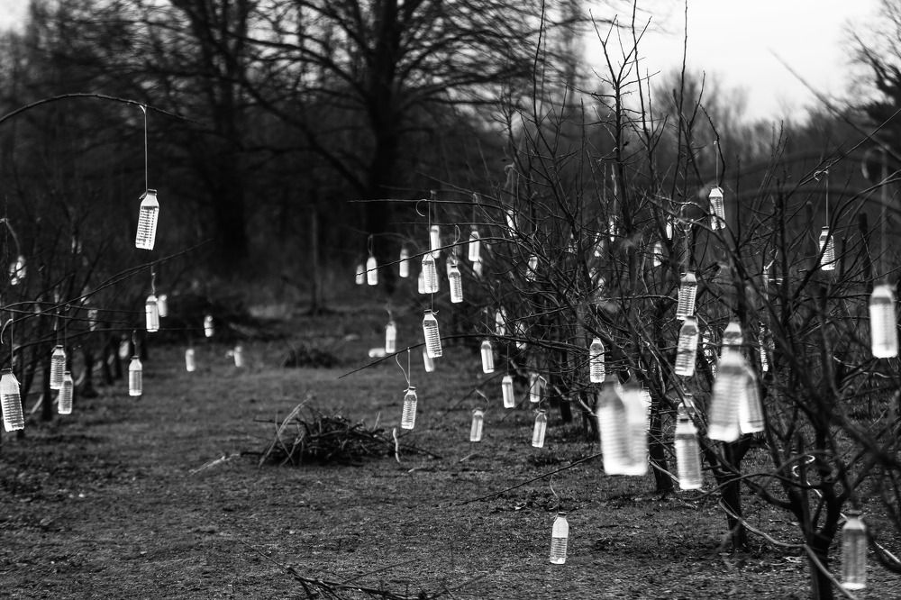 Photograph by Miloš Anđušić