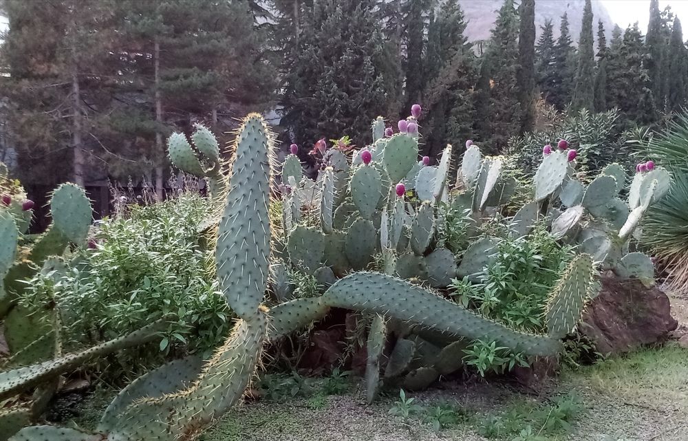 Photograph by Лилия Потравнова