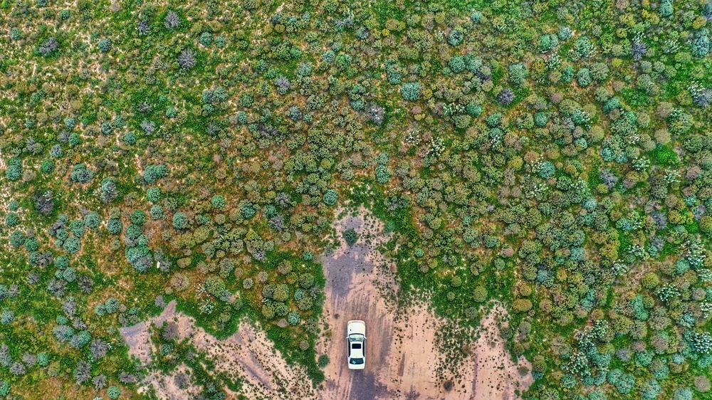 Photograph by Awf Al Shehhi