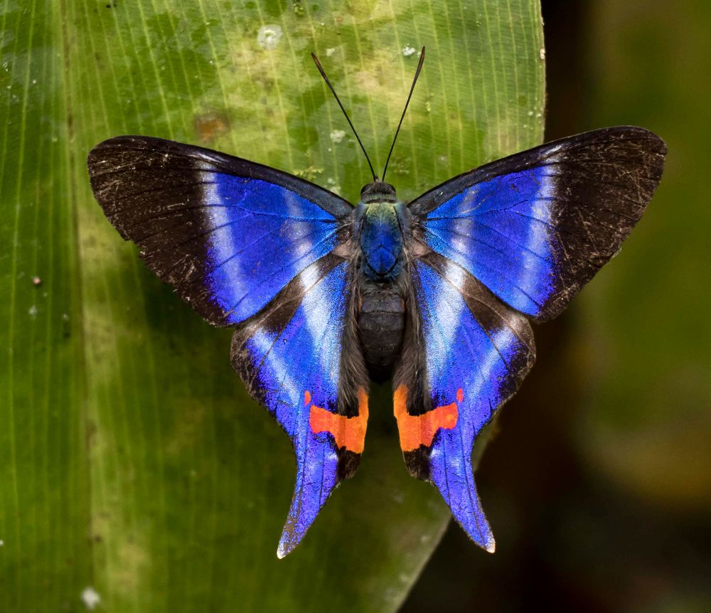 Photograph by Maria de los Angeles Osorio