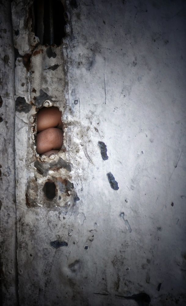 Photograph by علي الساعدي