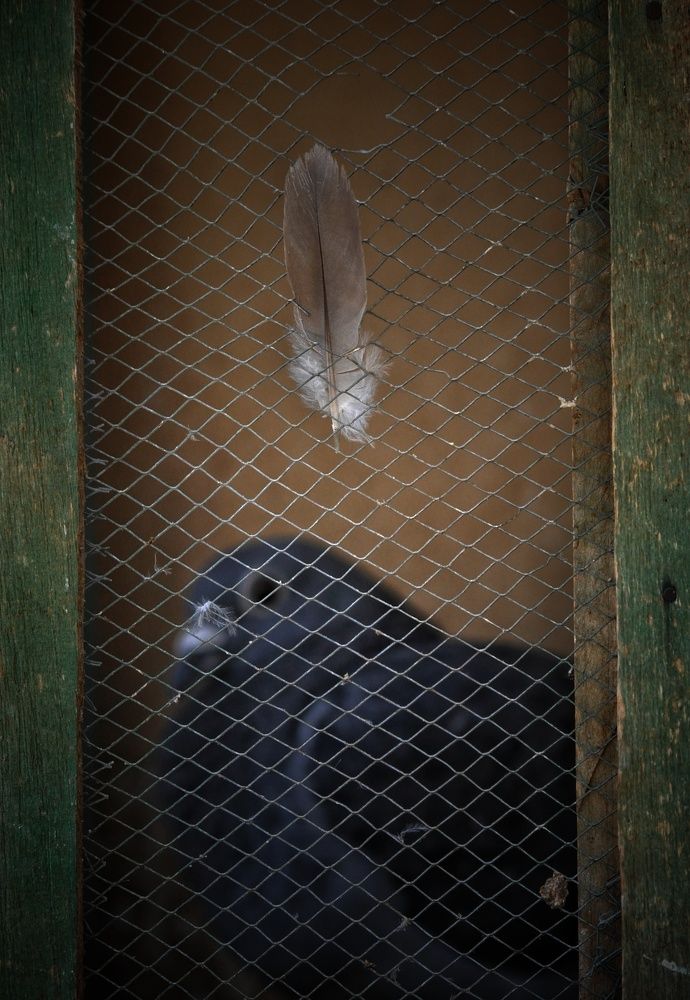 Photograph by علي الساعدي