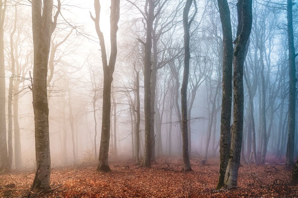 Photograph by Полякова Наталия Григорьевна