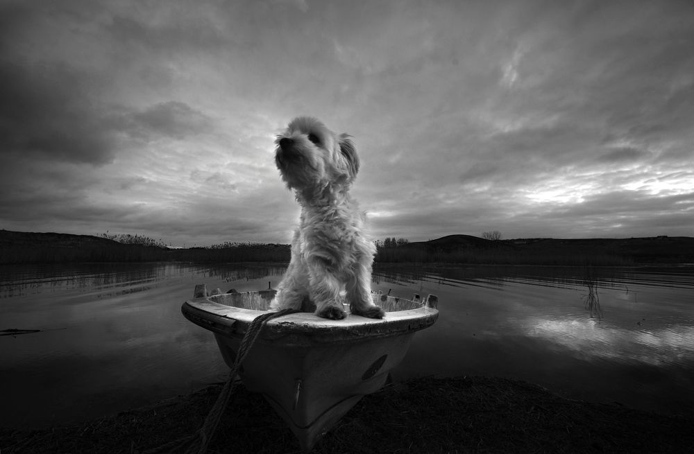 Фотография автора Ercan Yurt