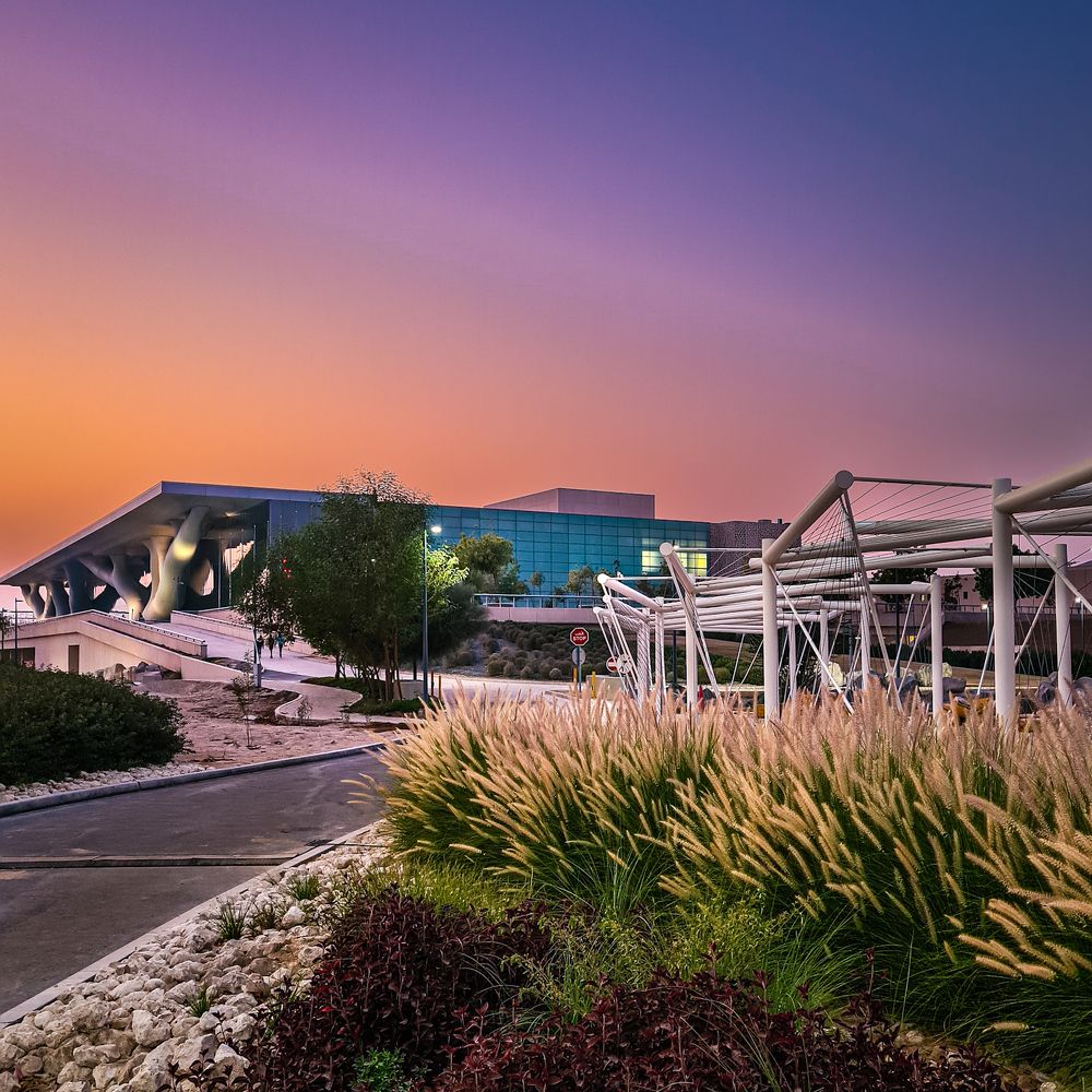 Photograph by Sandra Josefina Sandrea de Bruzual