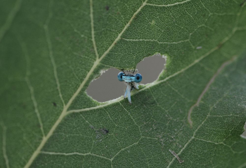 Фотография автора Ercan Yurt