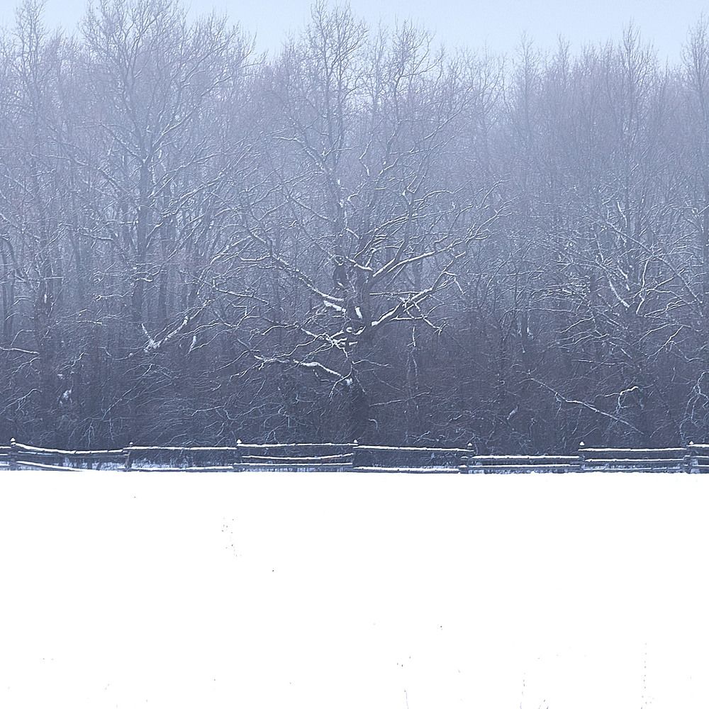 Photograph by Слава Саломатин