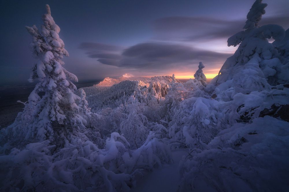 Photograph by Владимир Ляпин