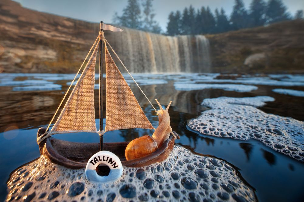 Полный вперёд!