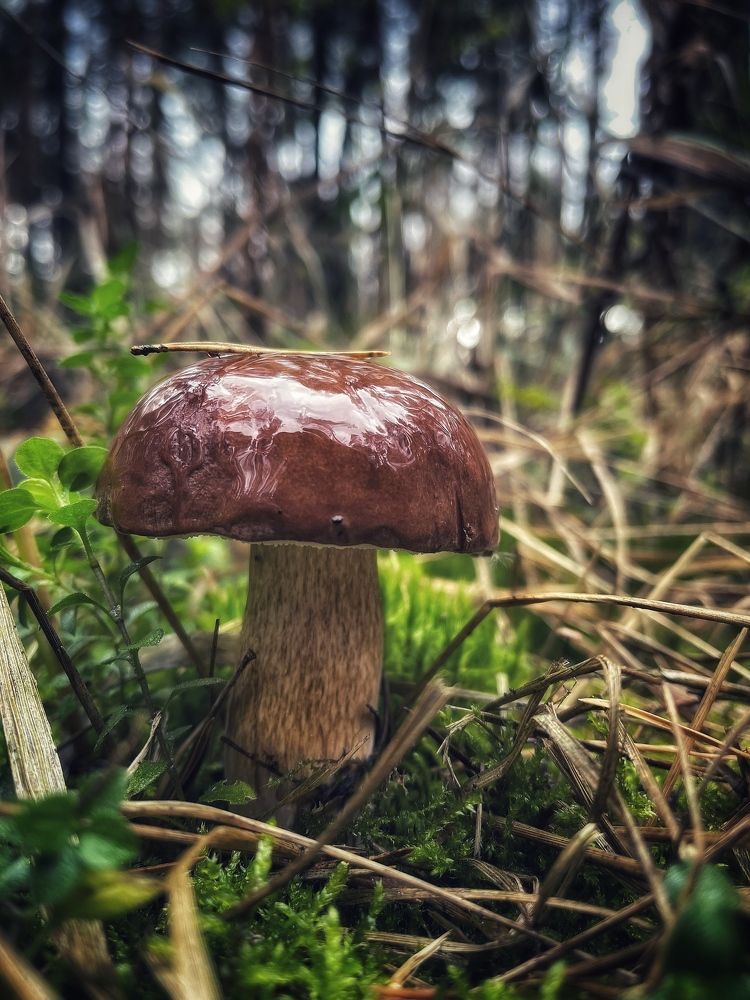 Photograph by Виктория Селютина