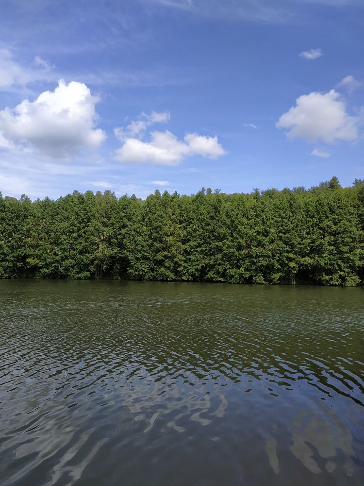 Photograph by Татьяна