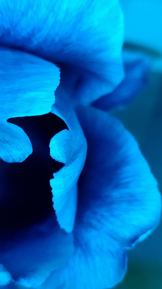 Photograph by Ирина Панкова