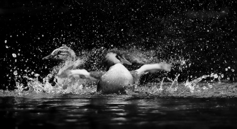 Повелительница воды