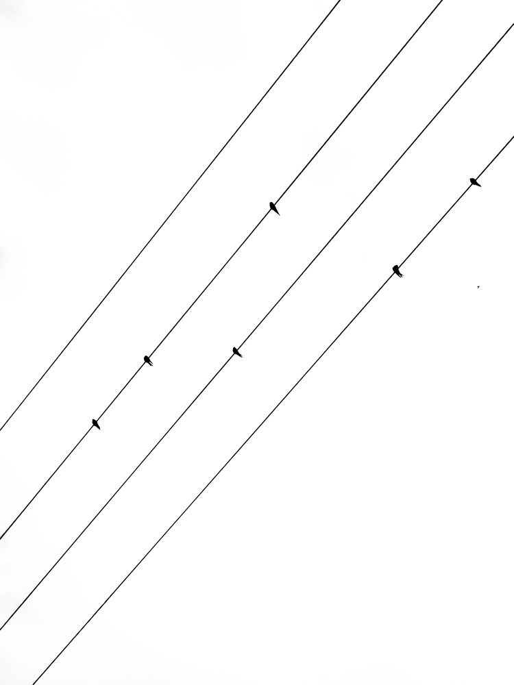 Photograph by Juan Miguel Gruet