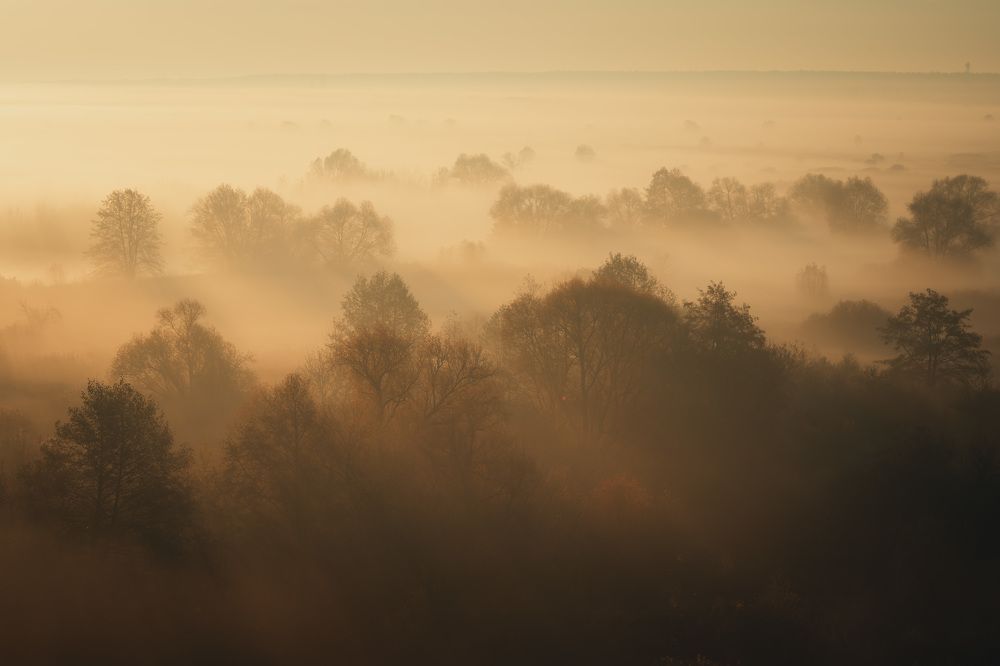 Photograph by Барабанов Алексей