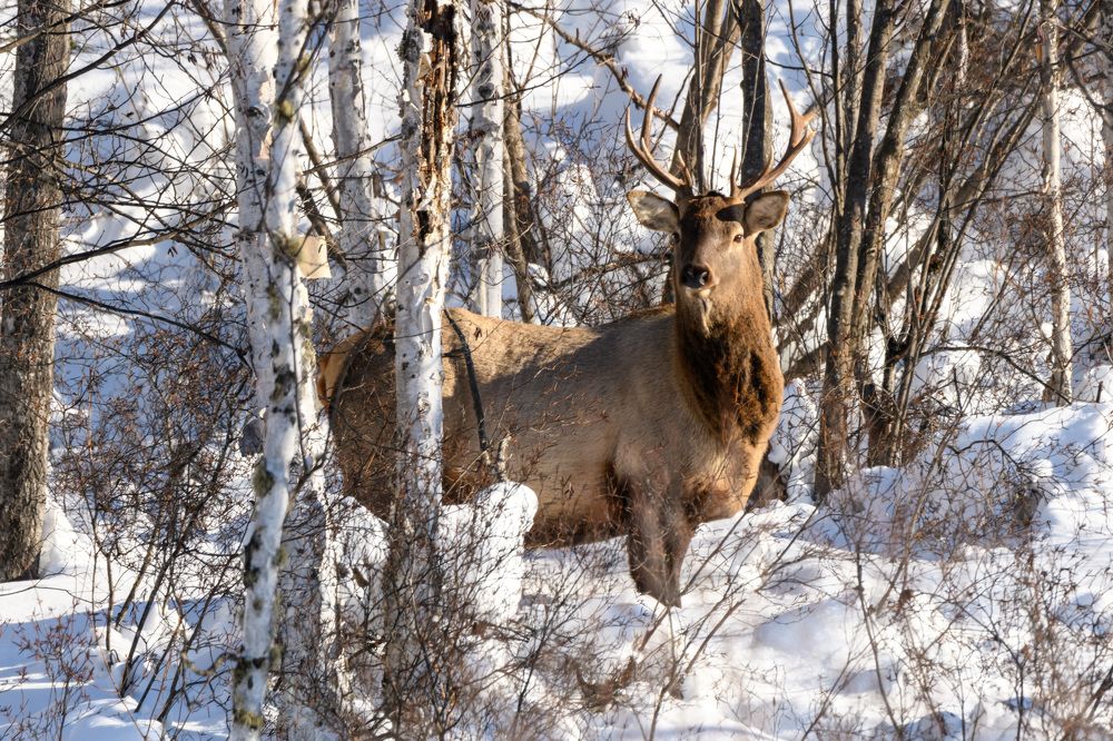 Photograph by Андрей Захаров