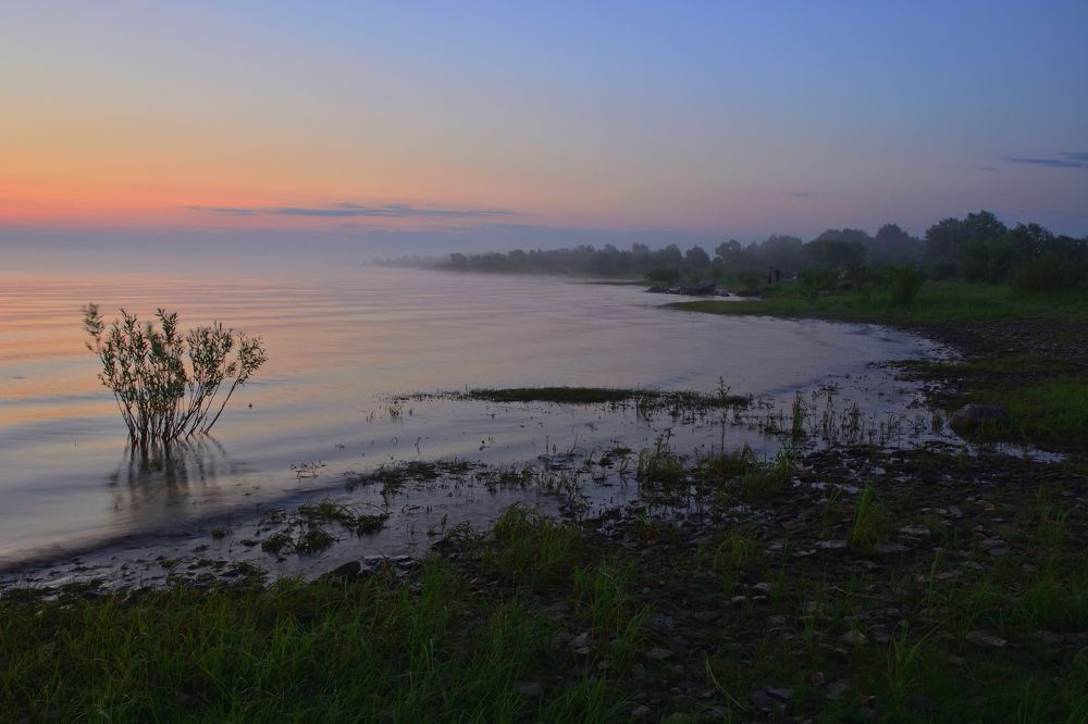 Photograph by Александр Калегин