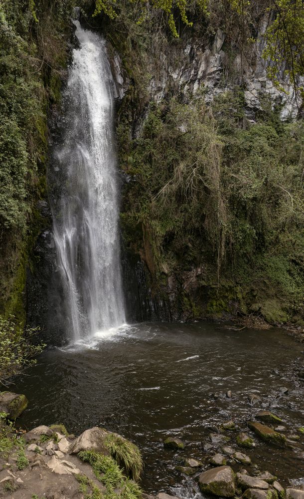 Photograph by Maria de los Angeles Osorio