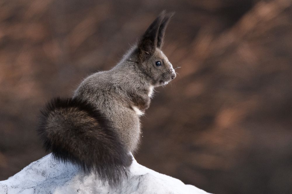 Photograph by Андрей Захаров