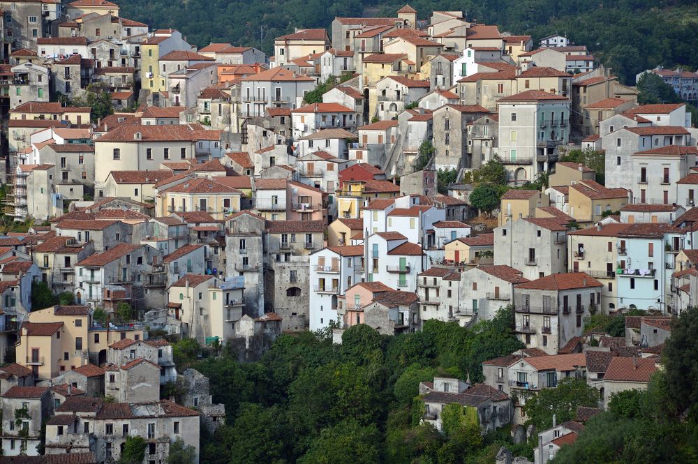 Photograph by Carlo Rondinone