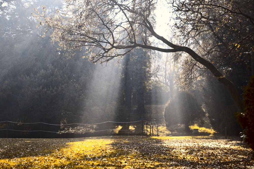 Photograph by Carlo Rondinone