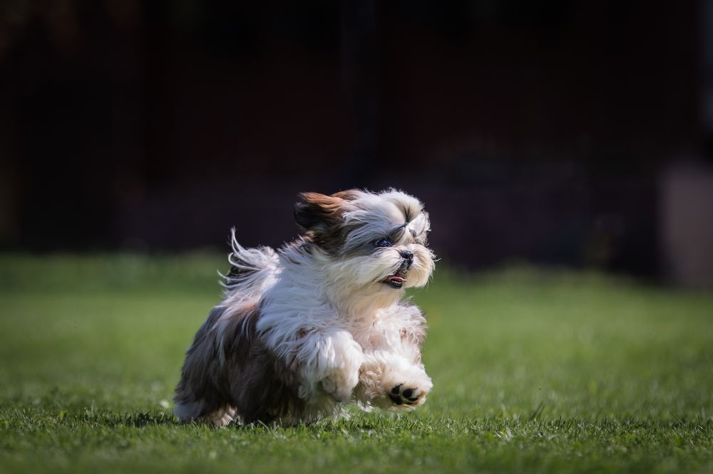 Photograph by Спесивцева Эльмира