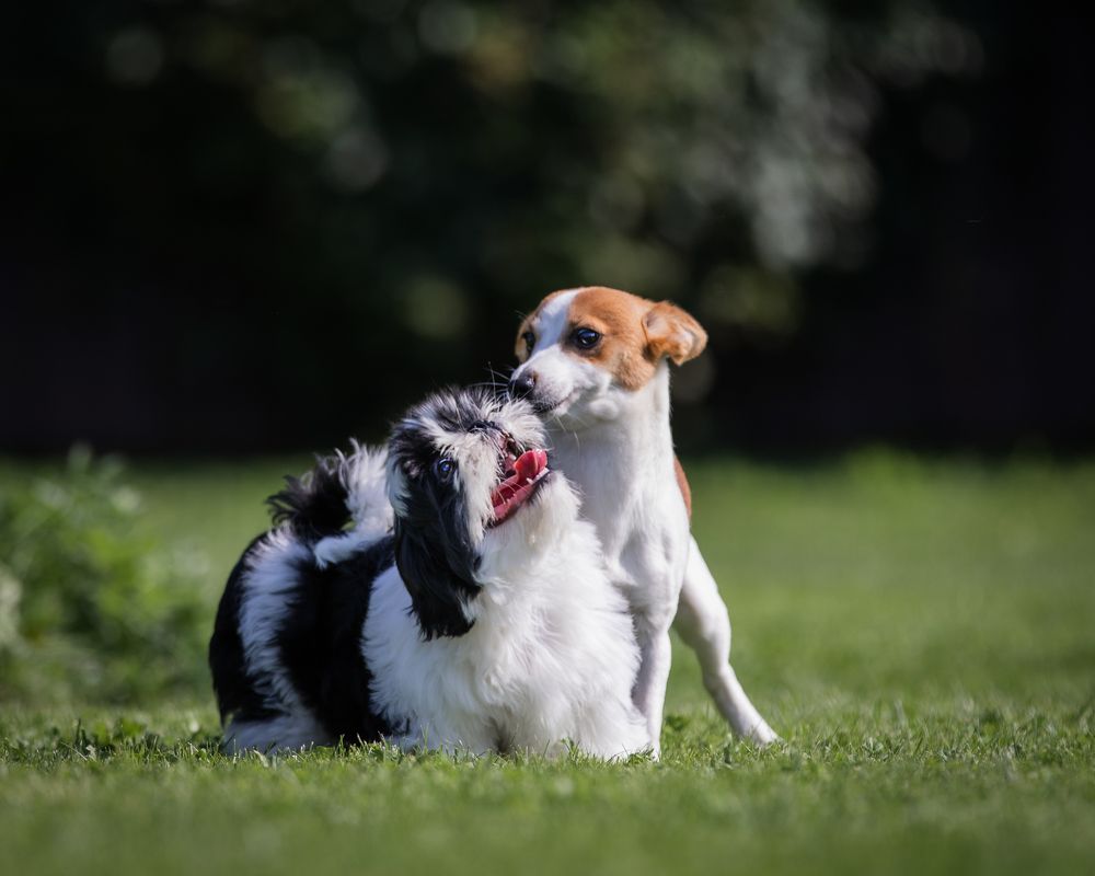 Photograph by Спесивцева Эльмира