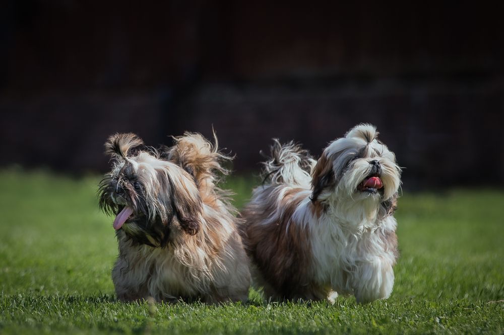 Photograph by Спесивцева Эльмира