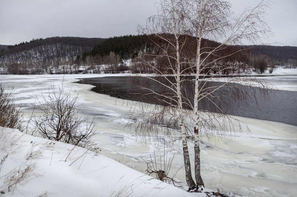 Photograph by юлия максимова