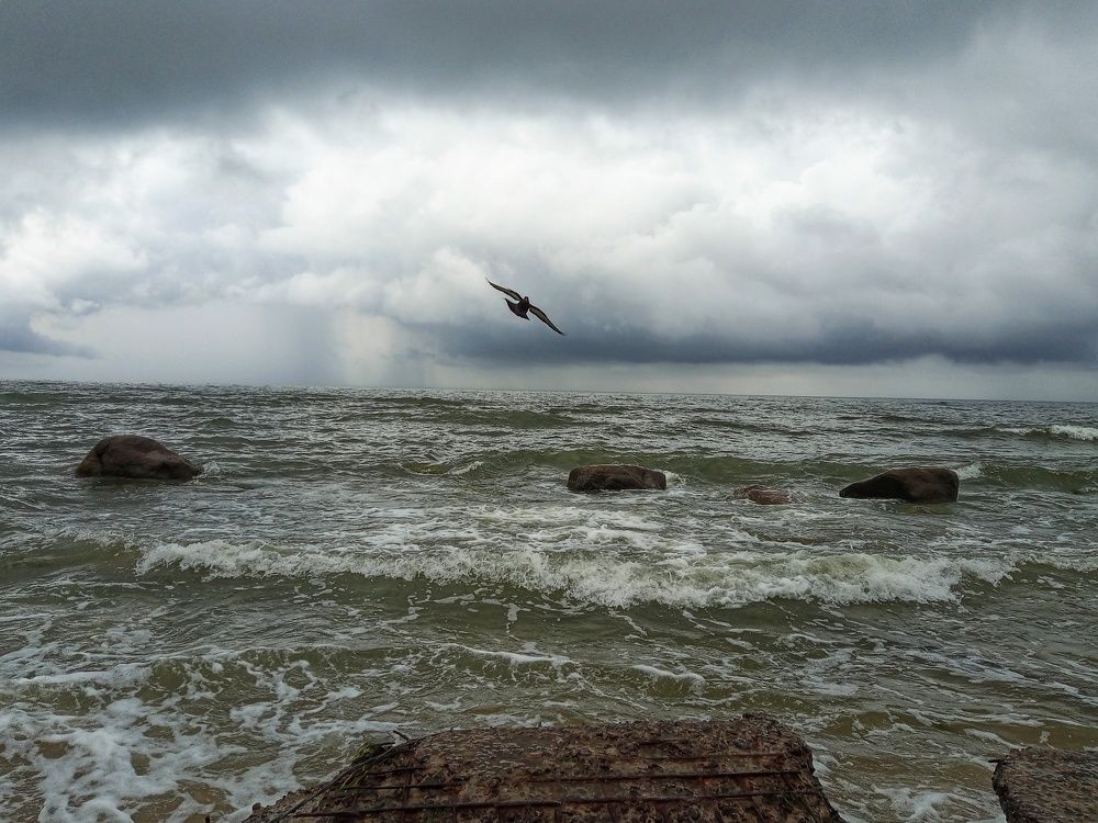 Photograph by Maiya Bulatova