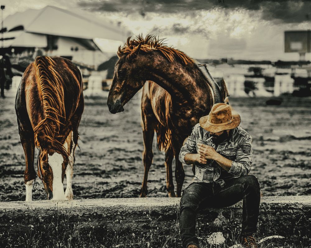 Фотография автора Ibrahim Jalal