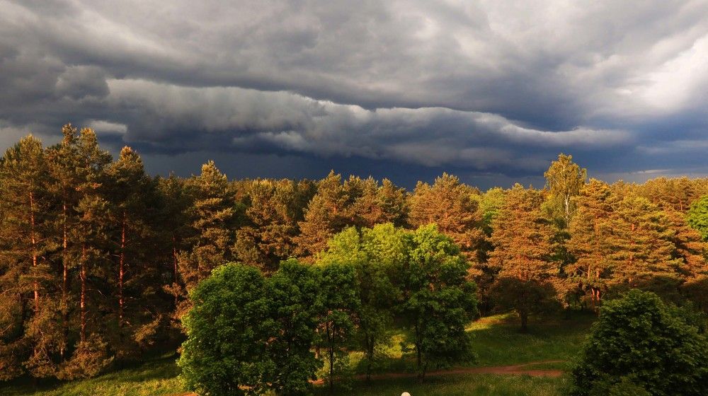 Photograph by Наталья Котько