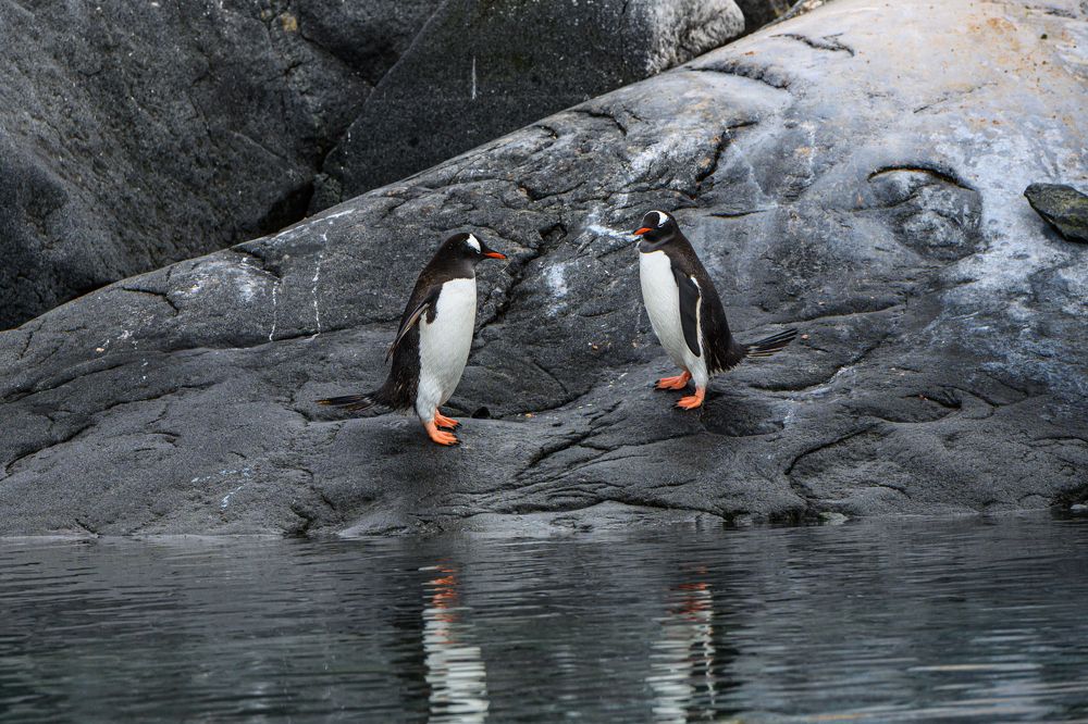 I look at you as in a mirror