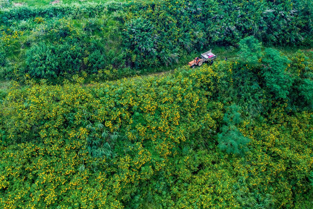 Photograph by Hoai Anh Dang