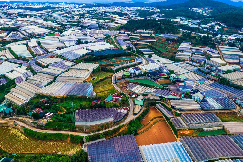 Photograph by Hoai Anh Dang