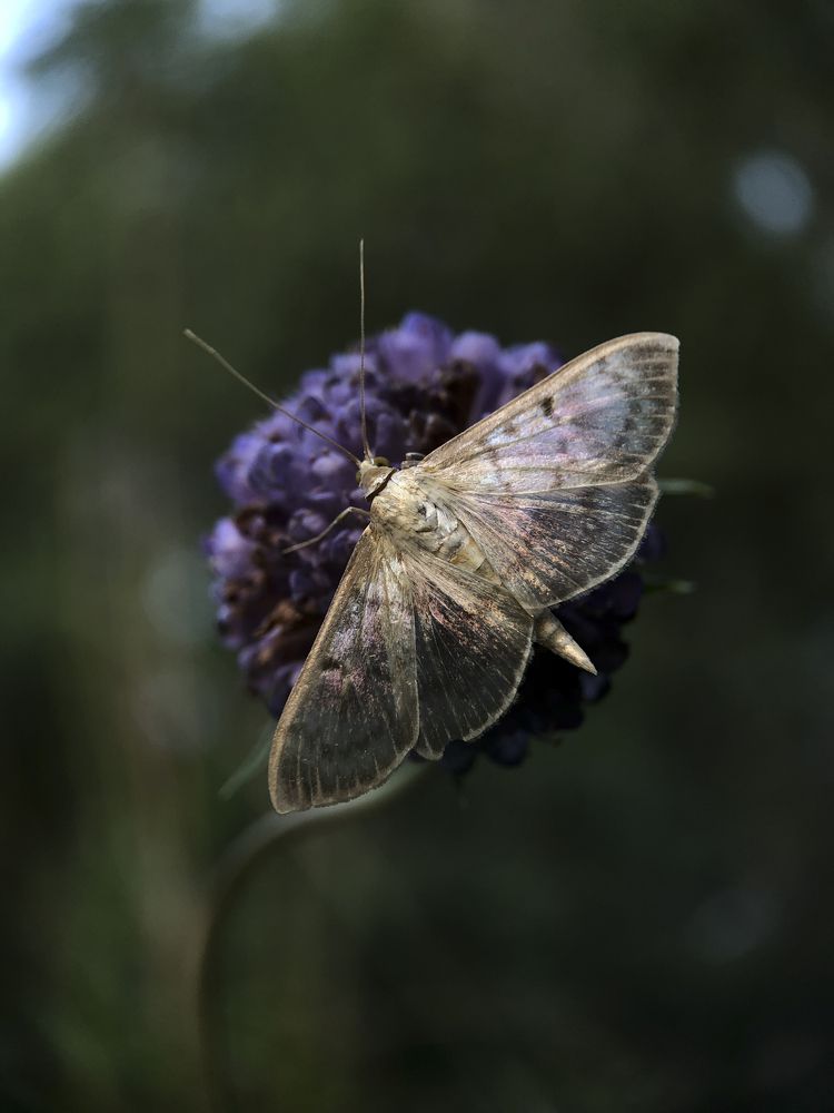 Photograph by Юлия Отставнова