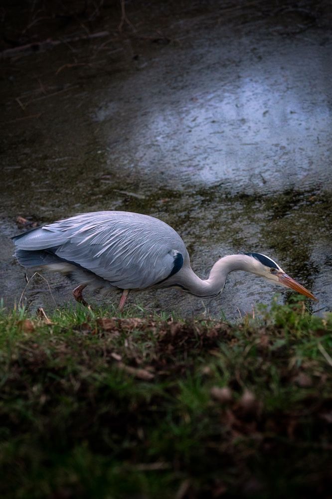 Photograph by Thomas Blandin