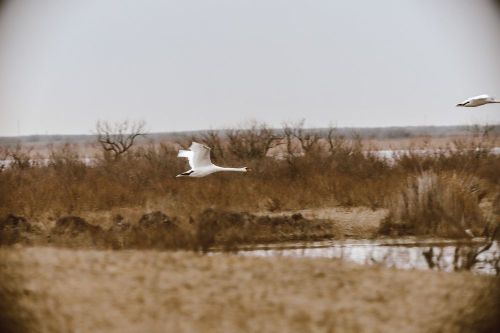 Photograph by Виктор Владимиров