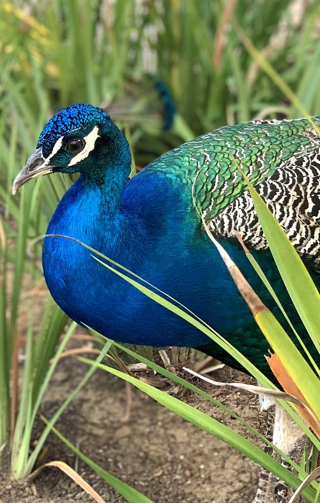 Photograph by Liliana Grup