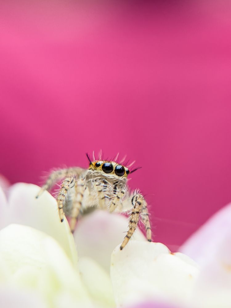 Photograph by Anandu S nair