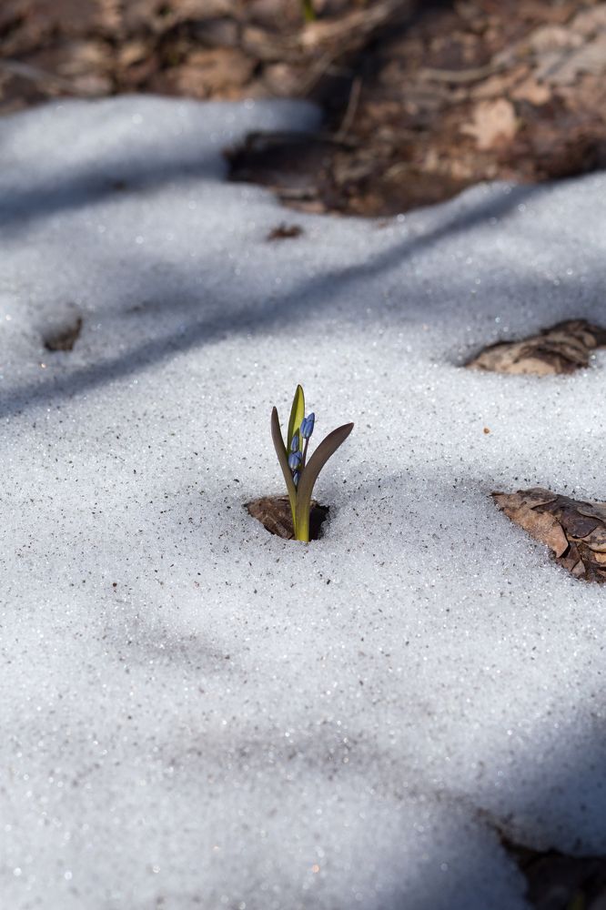 Photograph by Екатерина Меркулова