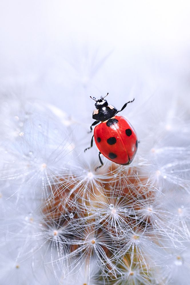 С добрым утром!