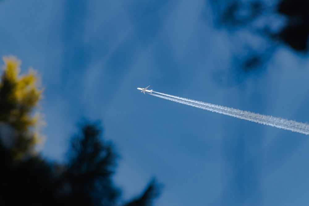 Photograph by Александр Горлов