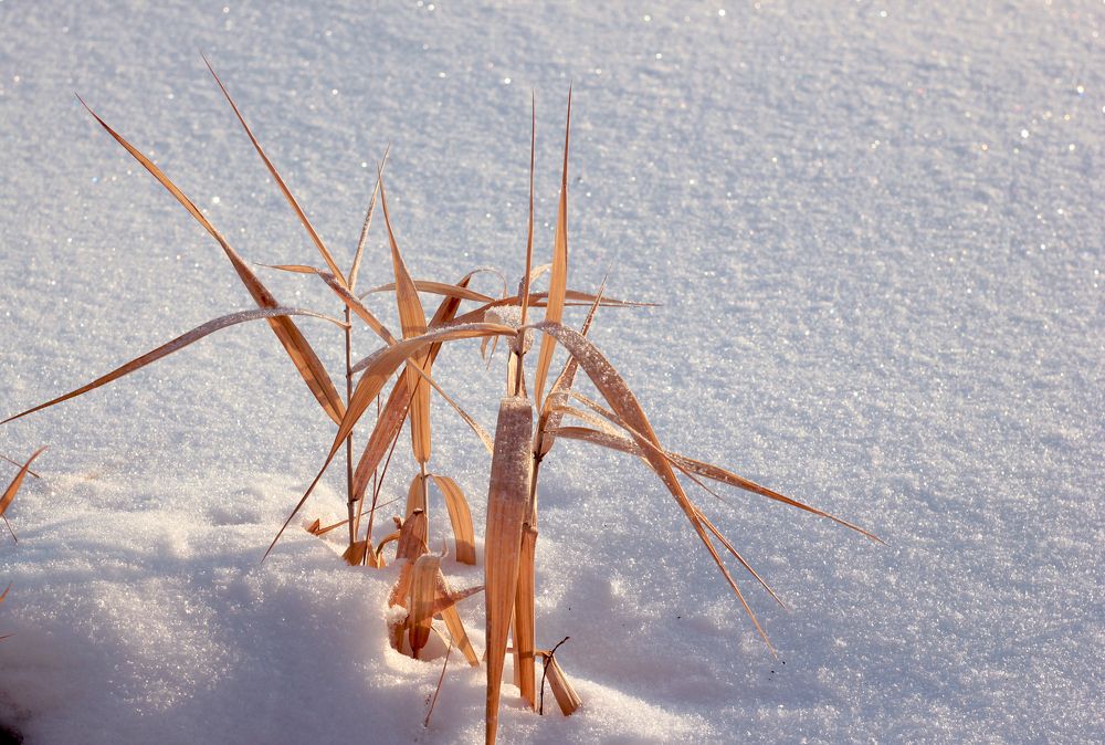 Photograph by Владимир Полотов