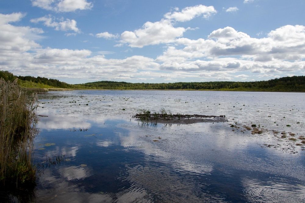 Photograph by Евгения Антропова